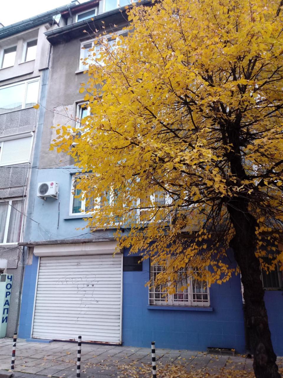 Atelier 9 - Art Mansard Studio Sofia Luaran gambar